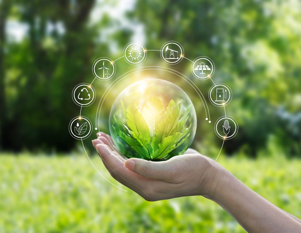 Hands,Protecting,Globe,Of,Green,Tree,On,Tropical,Nature,Summer